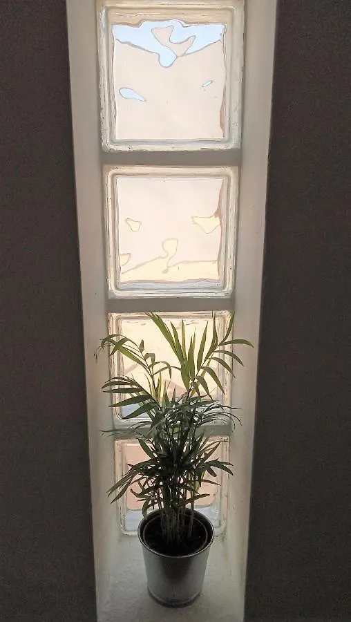 Apartamento Tarifa Cactus Apartment Spain