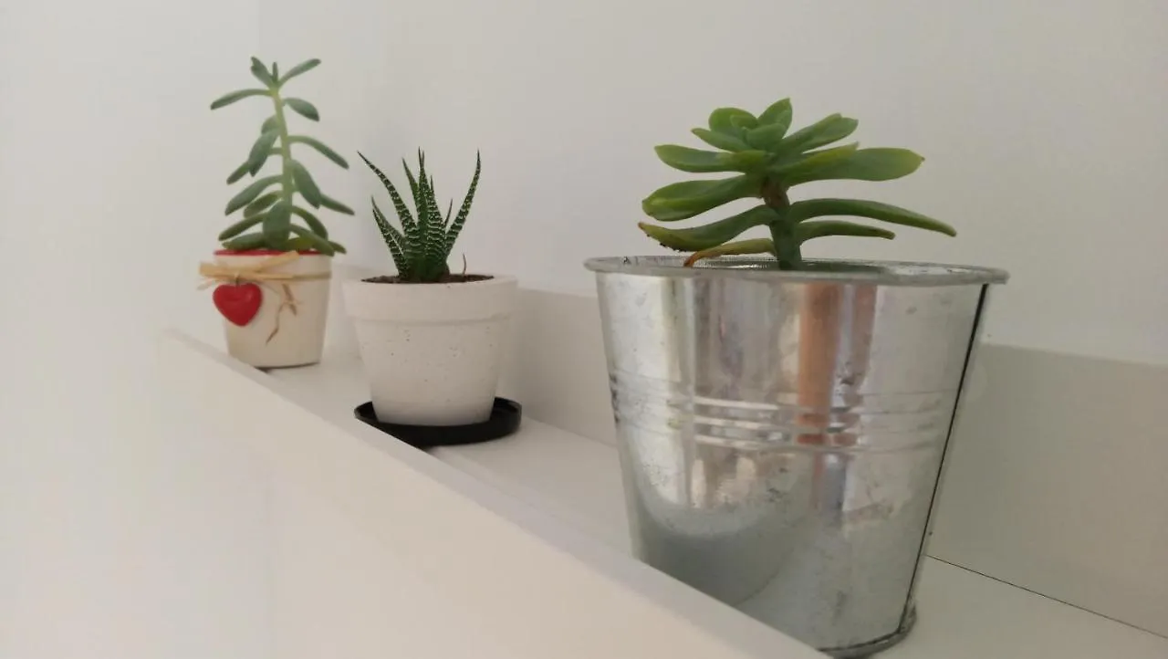 Apartamento Tarifa Cactus Apartment